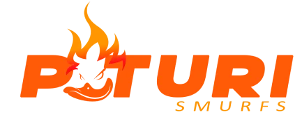 Paturi Logo